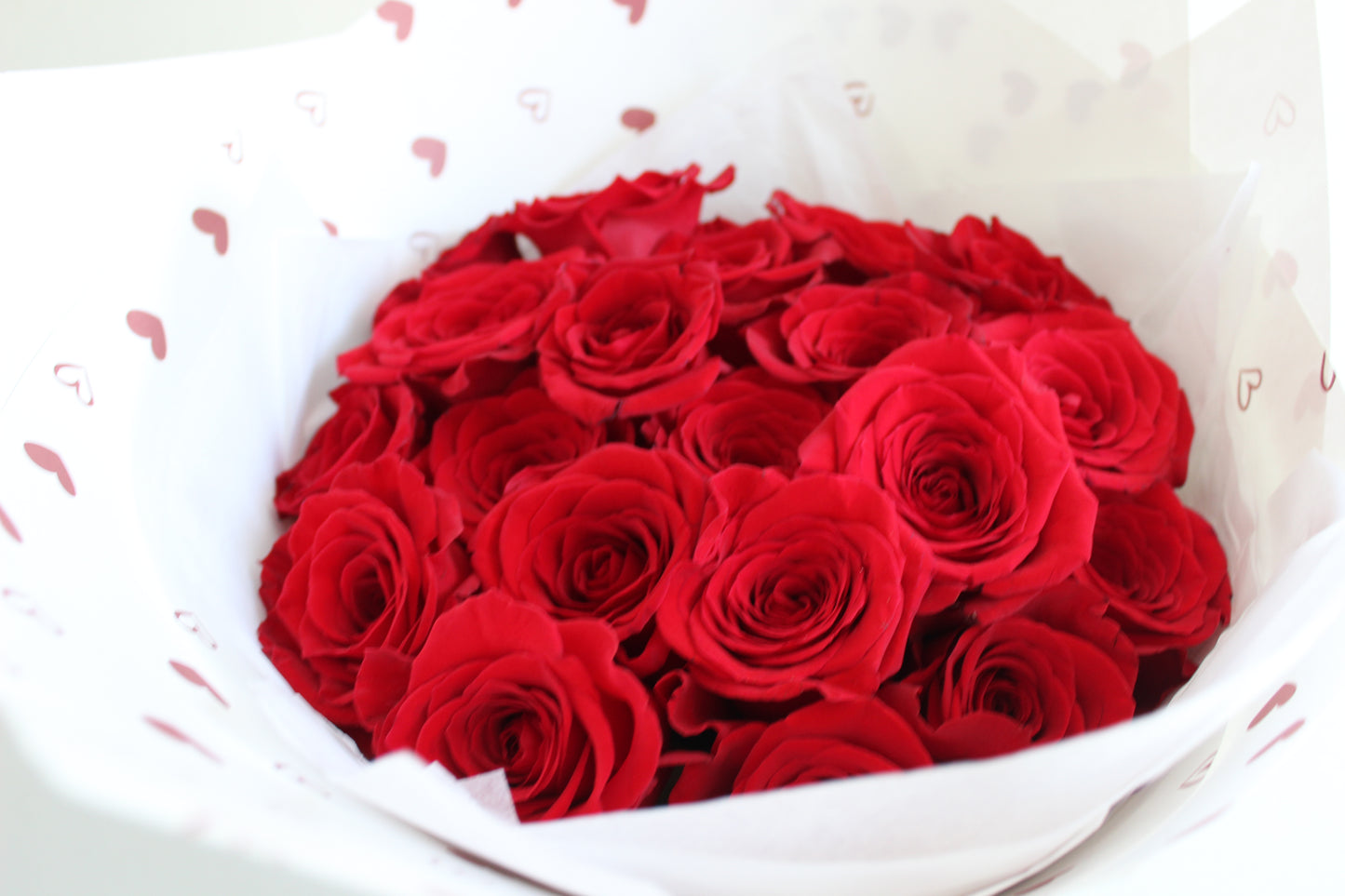 Long stemmed Ecuador roses